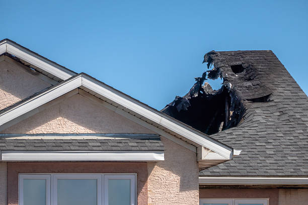 Top rated local Fire Damage Removal specialists in Circle Pines, MN